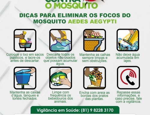 Dicas para eliminar os focos do mosquito Aedes Aegypti