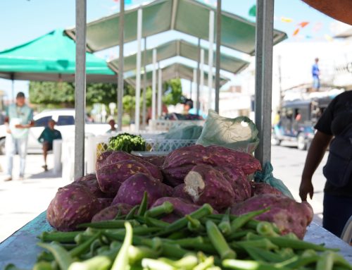 Feira da Agricultura Familiar de Jataúba está em novo local